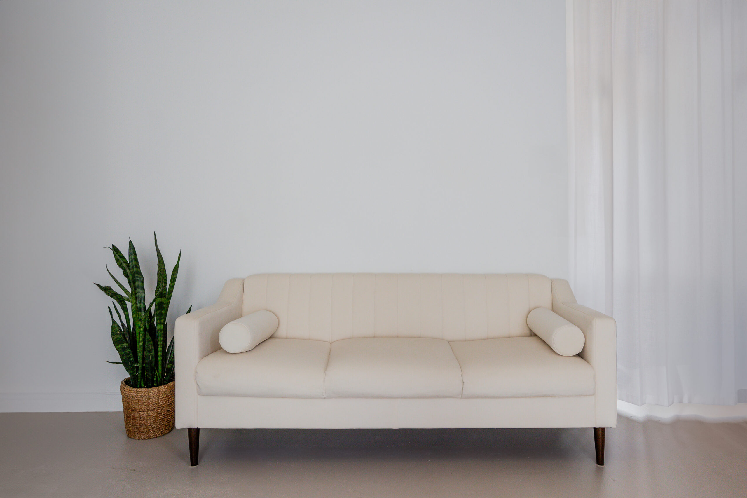 Natural light floods into a room with a modern couch and plant